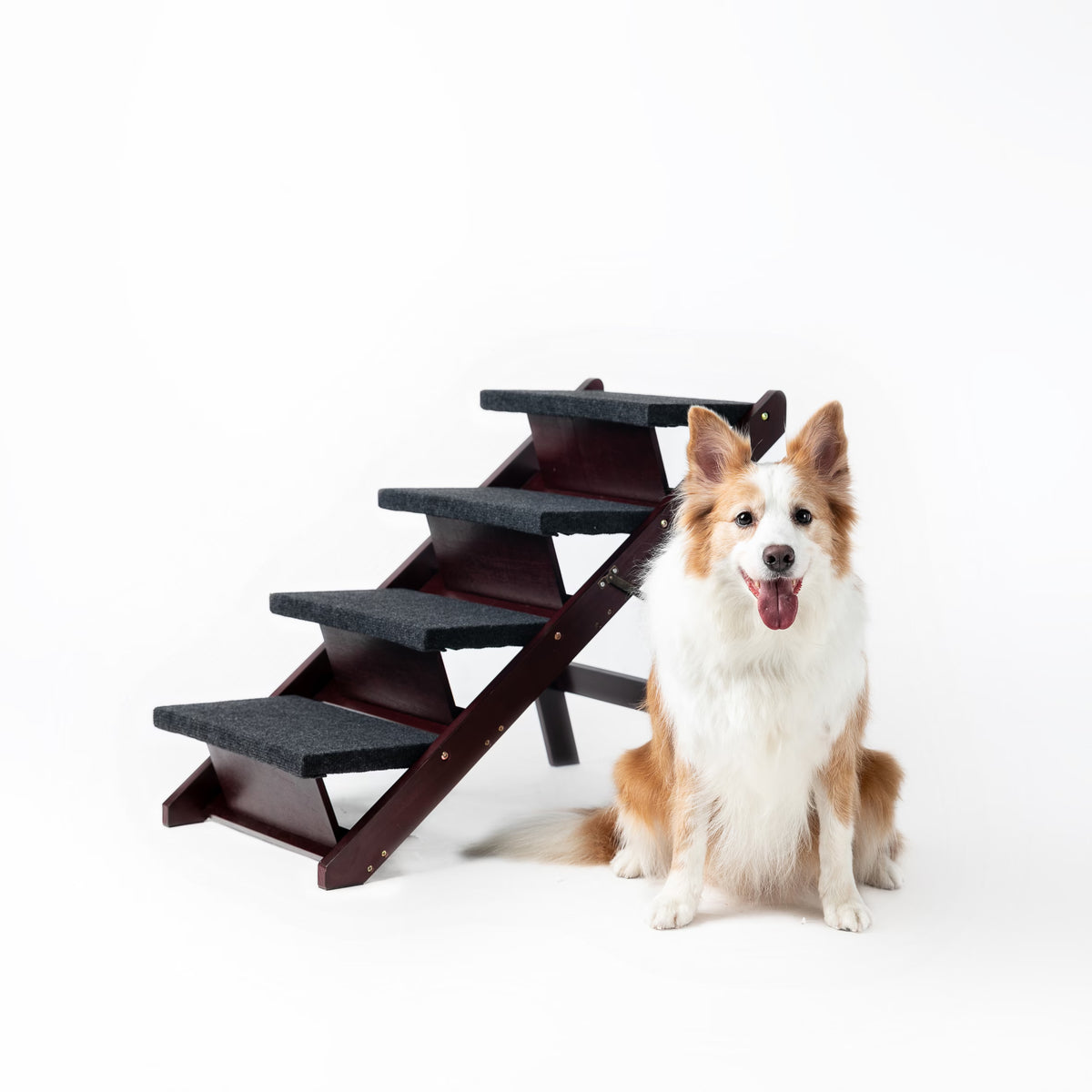 Foldable Wooden Dog Stairs 4 Steps
