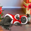 Santa Claus Flannel Coat for Dogs