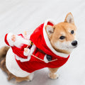 Green Elf Christmas Costume for Dogs
