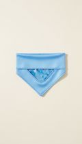 Pet Cooling Bandana